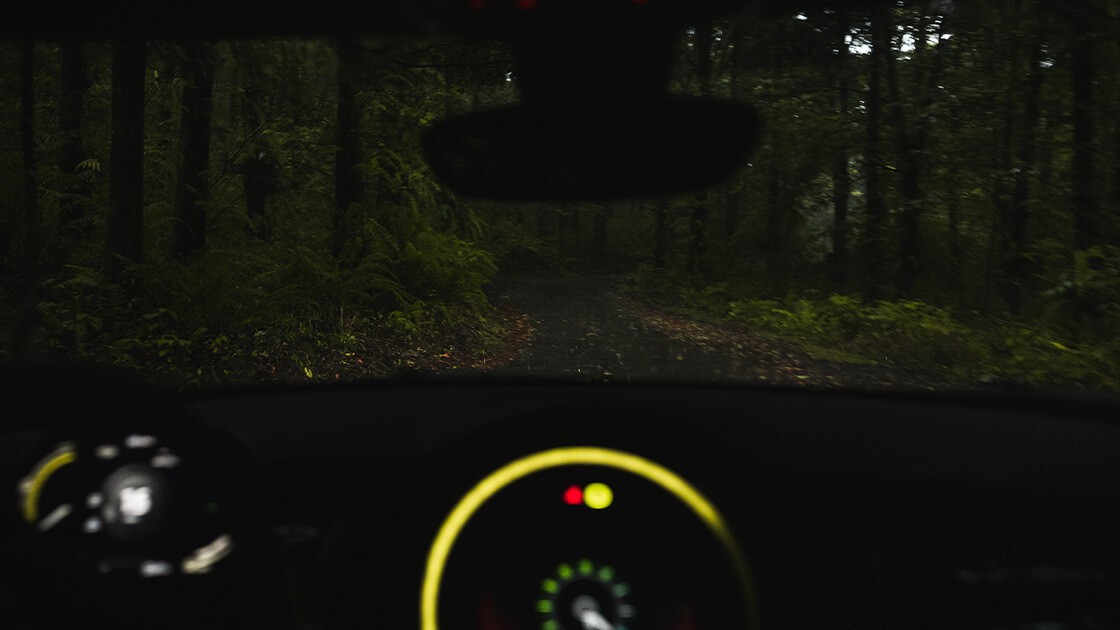 MINI Electric